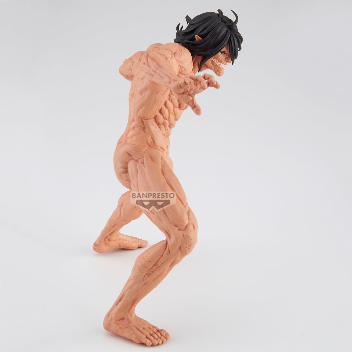 Eren Titan, view 5