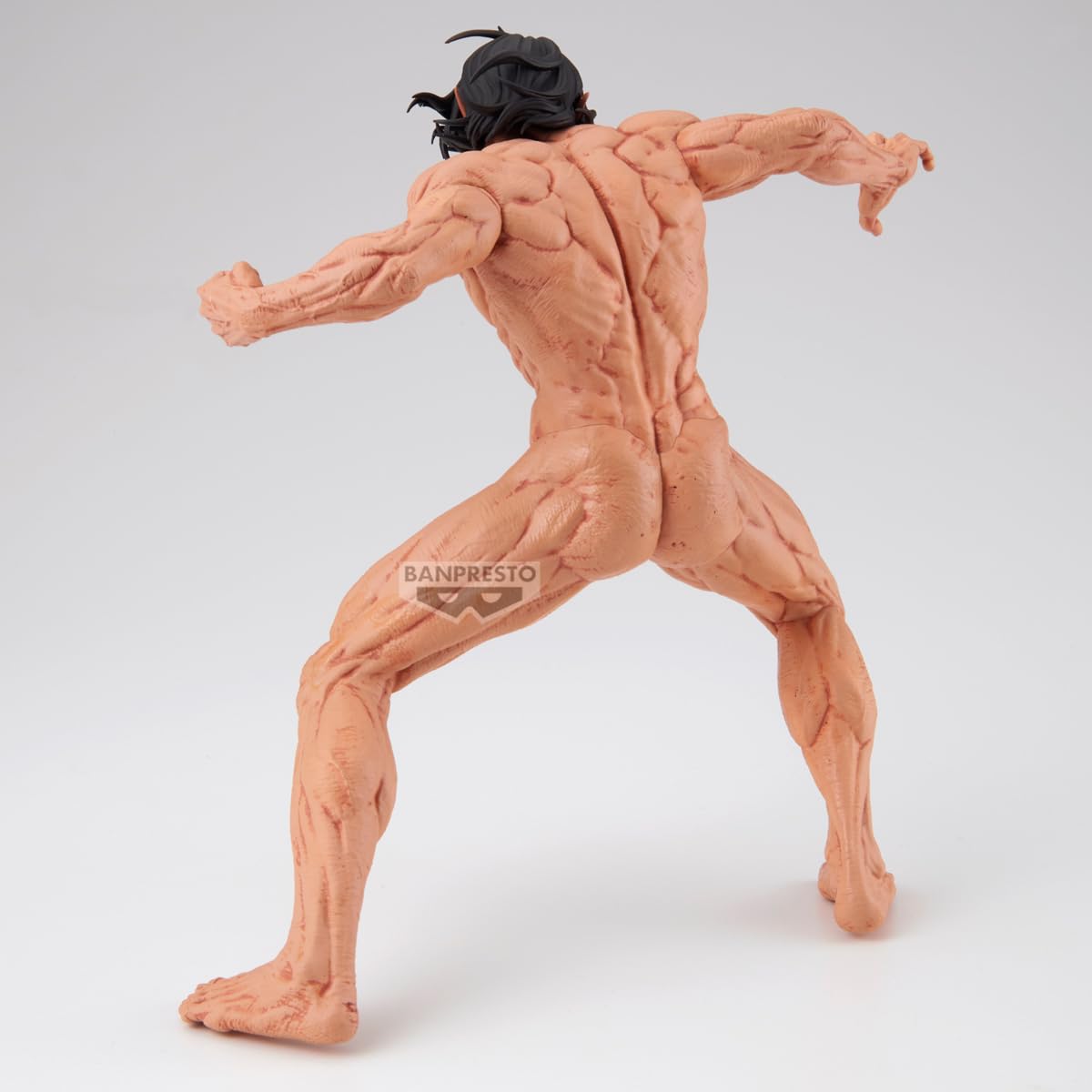 Eren Titan, view 6