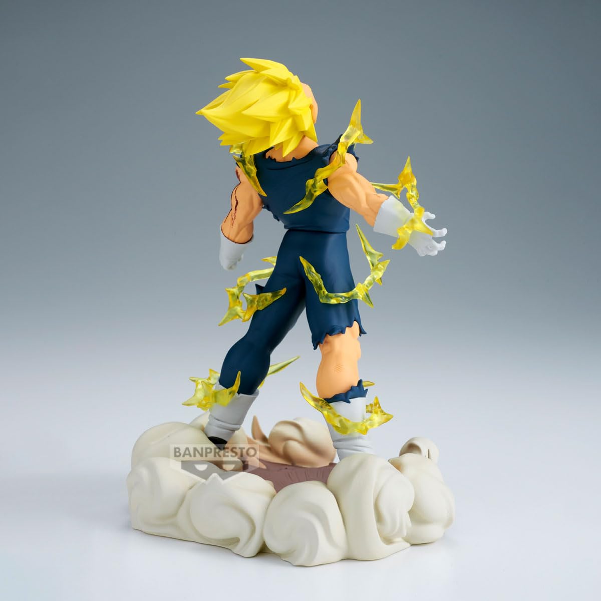 Majin Vegeta, view 5