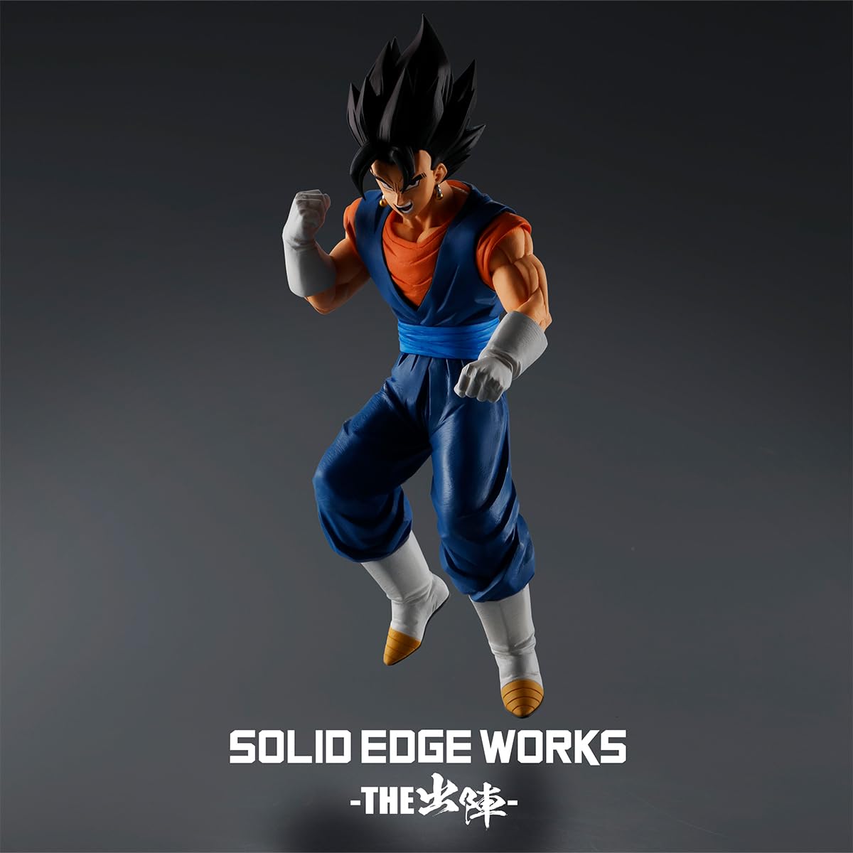 Vegito, view 6