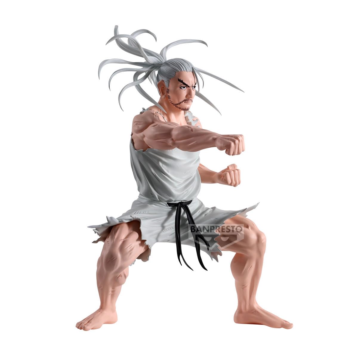 Netero Hunting Archives, view 3