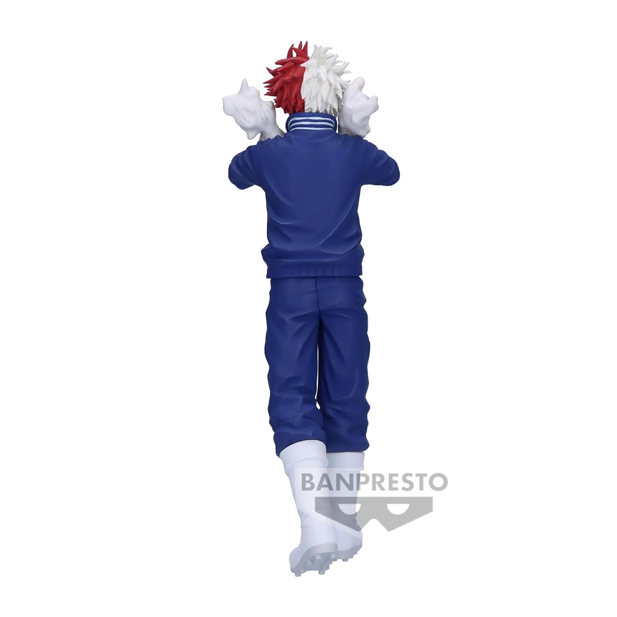 Shoto Todoroki, DX, view 4